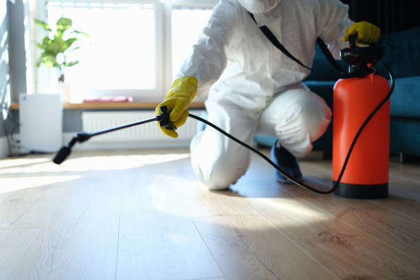 Reliable Biohazard Cleanup contractor in Bodfish, CA by Trauma Clean Pros